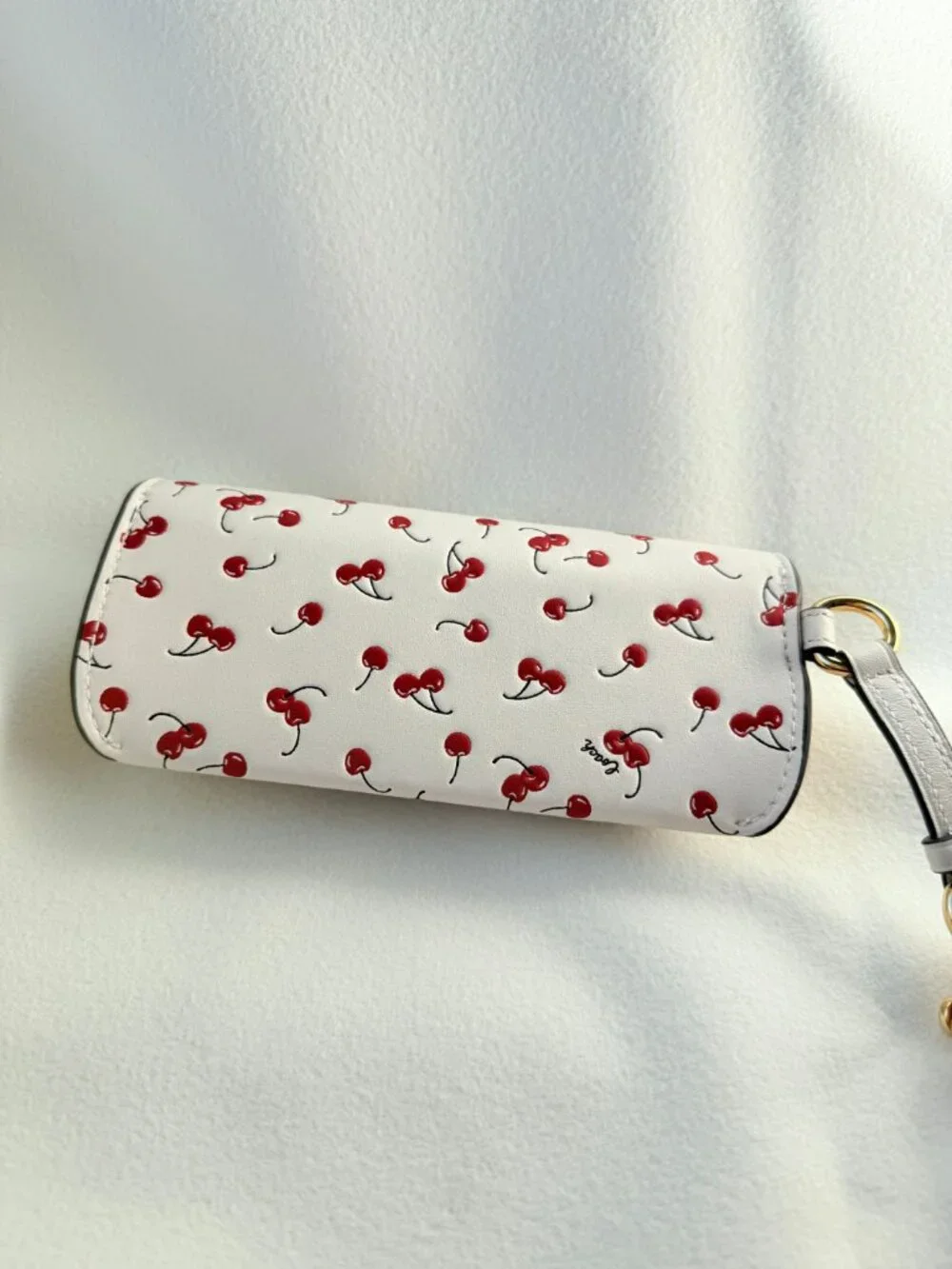coach Sunglass Case With Cherry Print cfa49
